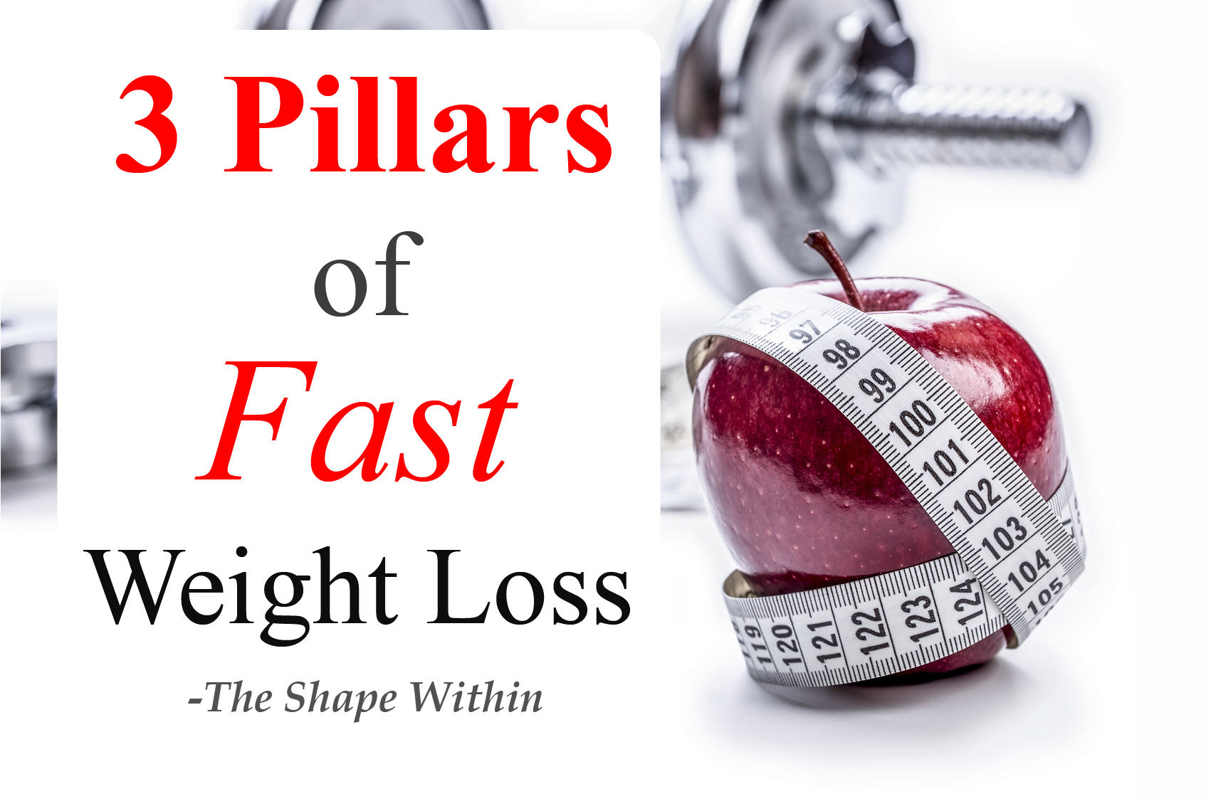 the-3-pillars-of-rapid-weight-loss-the-shape-within